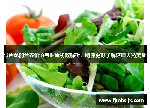 马齿苋的营养价值与健康功效解析，助你更好了解这道天然美食