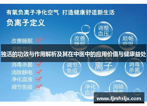 独活的功效与作用解析及其在中医中的应用价值与健康益处 独活的功效与作用解析及其在中医中的应用价值与健康益处