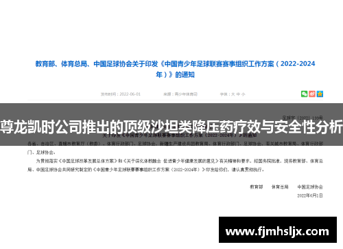 尊龙凯时公司推出的顶级沙坦类降压药疗效与安全性分析