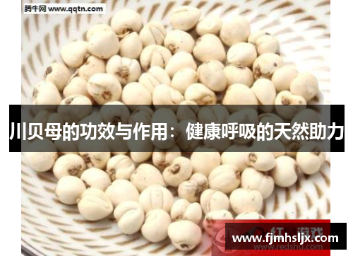 川贝母的功效与作用：健康呼吸的天然助力