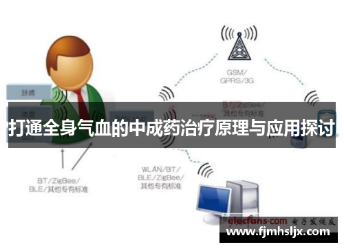 打通全身气血的中成药治疗原理与应用探讨